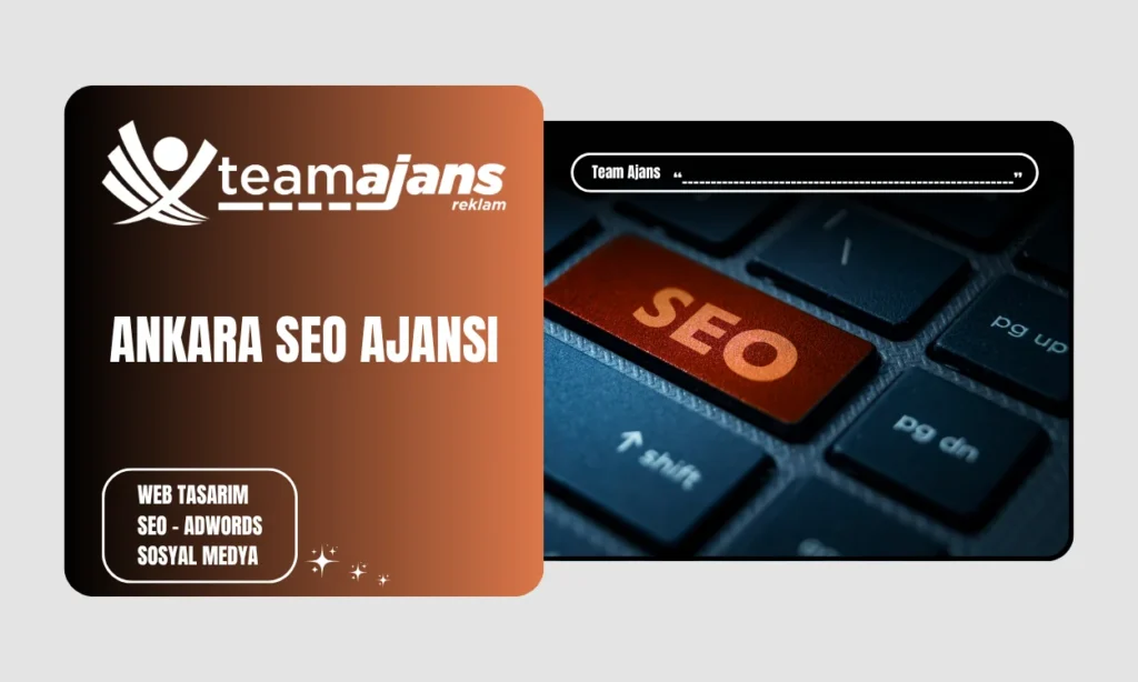 Ankara SEO Ajansı