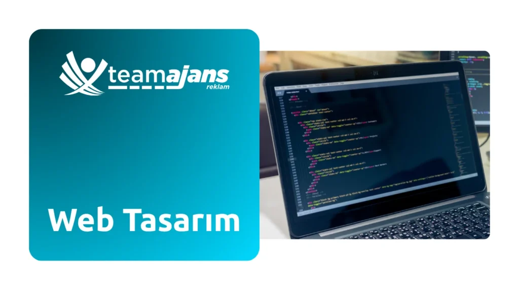 Web Tasarım