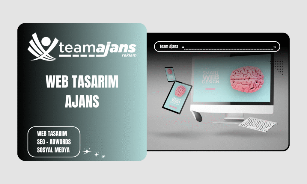 Web Tasarım Ajansı